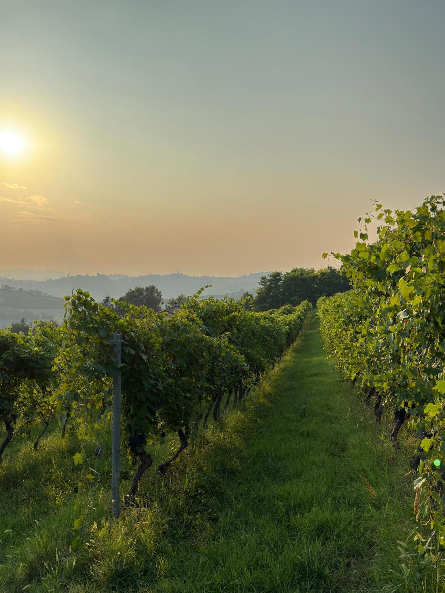 Relais Conac 1888 - Luxury B&B - Adults Only Castelnuovo Don Bosco Экстерьер фото